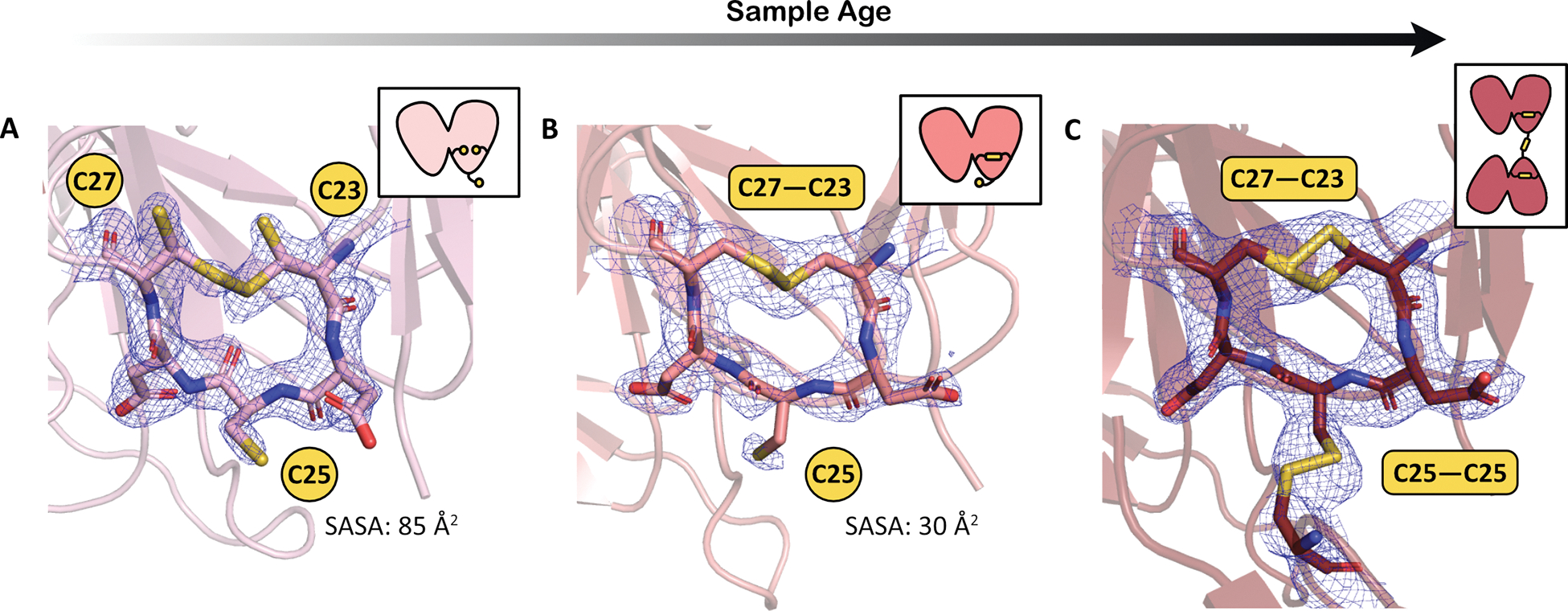 Figure 6.