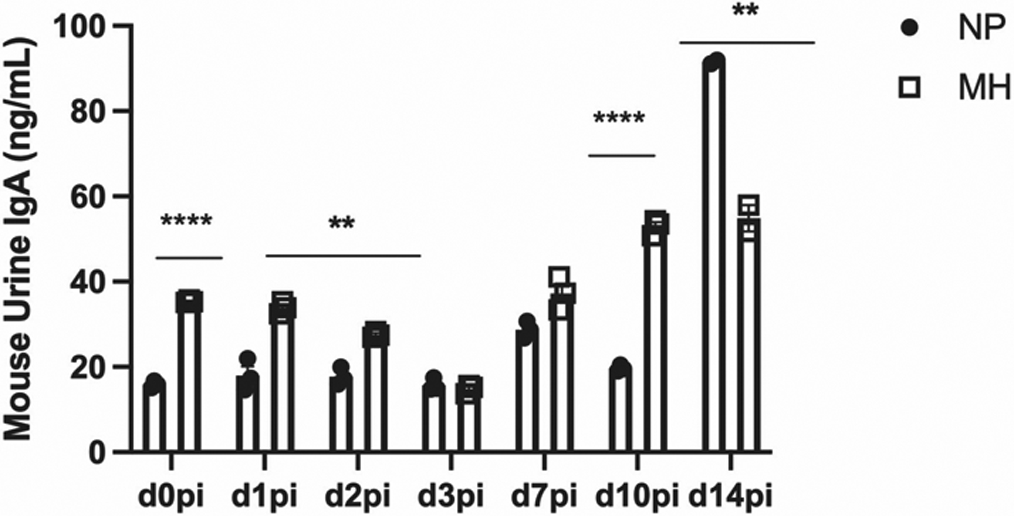 Figure 3: