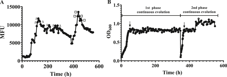 Fig. 4