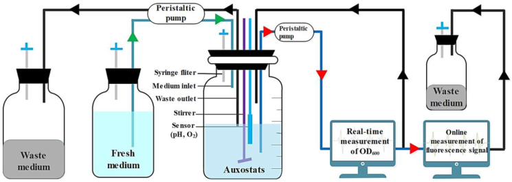 Fig. 3