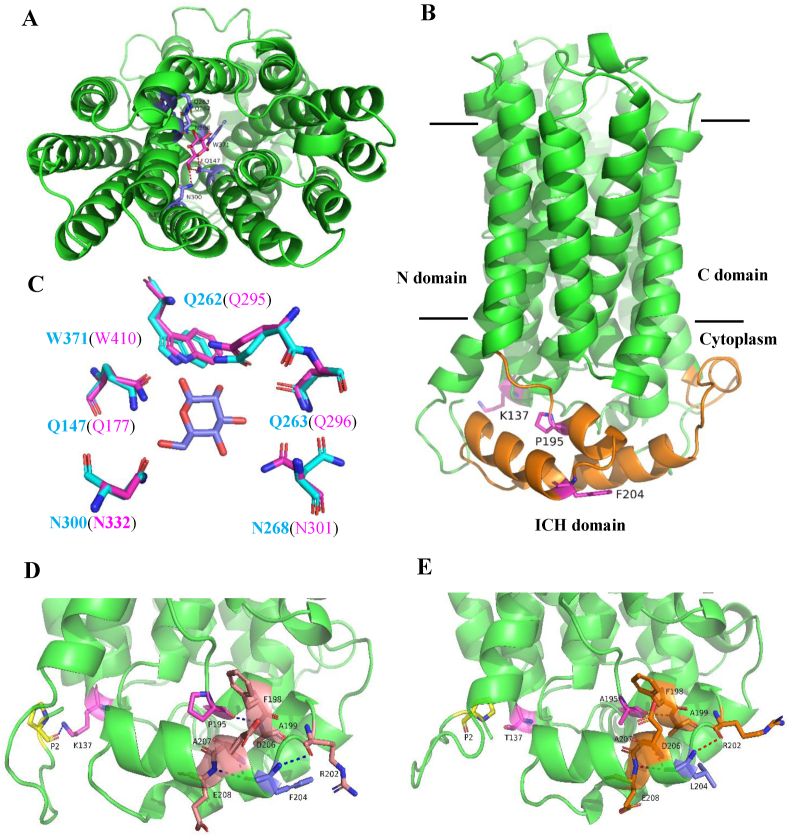 Fig. 9