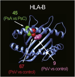 Figure 5