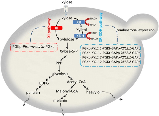 Fig. 1