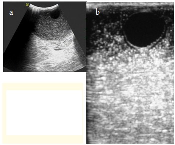 Fig. 1 a,b