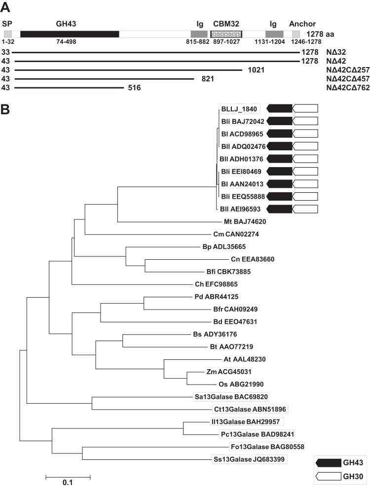 FIG 1