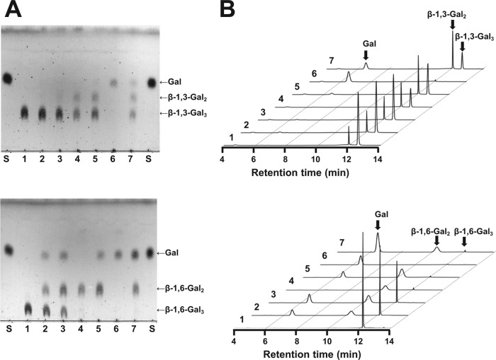 FIG 6