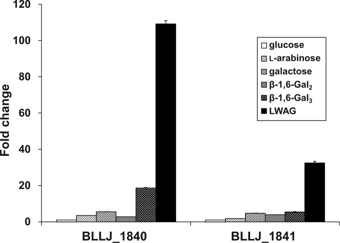 FIG 5