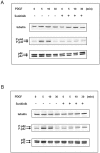 Fig 5
