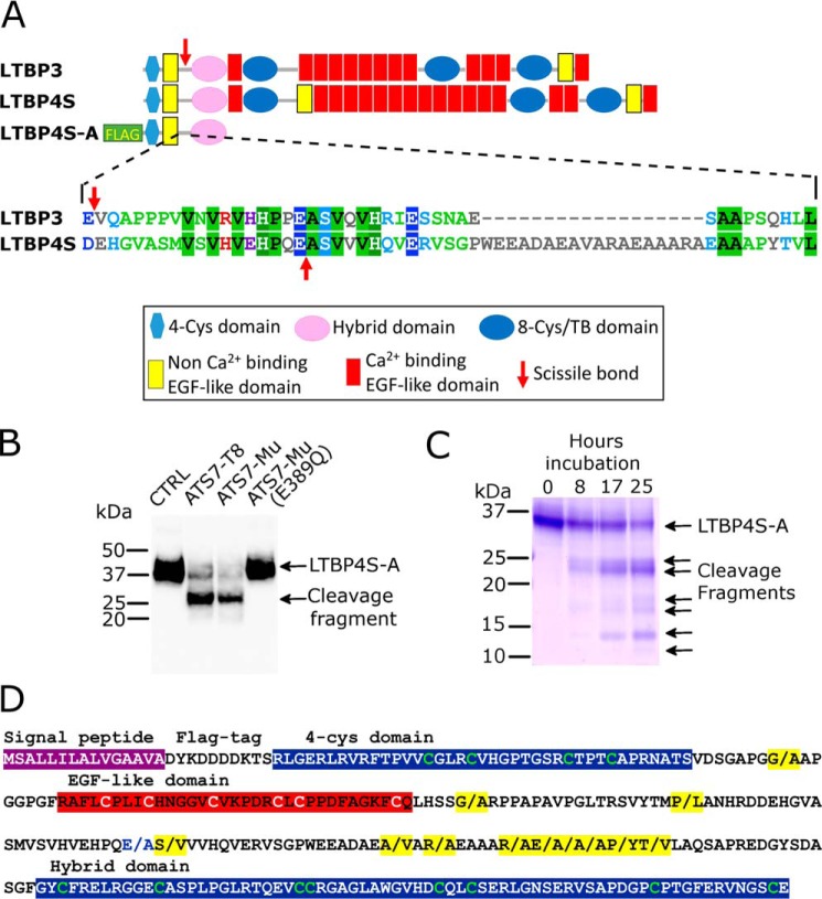 Figure 4.