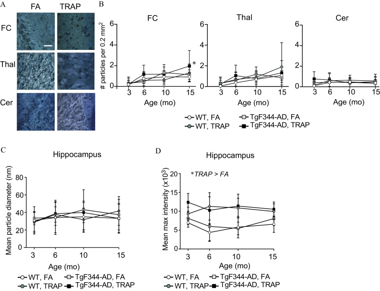 Figure 2A is a display of two columns, namely, filtered air and traffic-related air pollution, of spectral images of refractive particle deposition and three rows, namely, frontal cortex, thalamus, and cerebellum, of spectral images of refractive particle deposition. Figure 2B is a set of three line graphs titled frontal cortex, thalamus, and cerebellum, plotting number of particles per 0.2 millimeter squared, ranging from 0 to 6 in increments of 2 (y-axis) across age (months), ranging from 3 to 6 in increments of 3 and 6 to 15 in increments of 5 (x-axis) for wildtype, filtered air; Transgenic F 344-A D, filtered air; wildtype, traffic-related air pollution; Transgenic F 344-A D, traffic-related air pollution. Figures 2C and 2D are line graphs titled Hippocampus, plotting Mean particle diameter (nanometer), 0 to 80 in increments of 20 and Mean maximum intensity (times 10 begin subscript 3 end subscript), ranging from 0 to 20 in increments of 5 (y-axis) across age (months), ranging from 3 to 6 in increments of 3 and 6 to 15 in increments of 5 (x-axis) for wildtype, filtered air; Transgenic F 344-A D, filtered air; wildtype, traffic-related air pollution; Transgenic F 344-A D, traffic-related air pollution. In figure 1D, the performance report depicts traffic-related air pollution greater than filtered air.