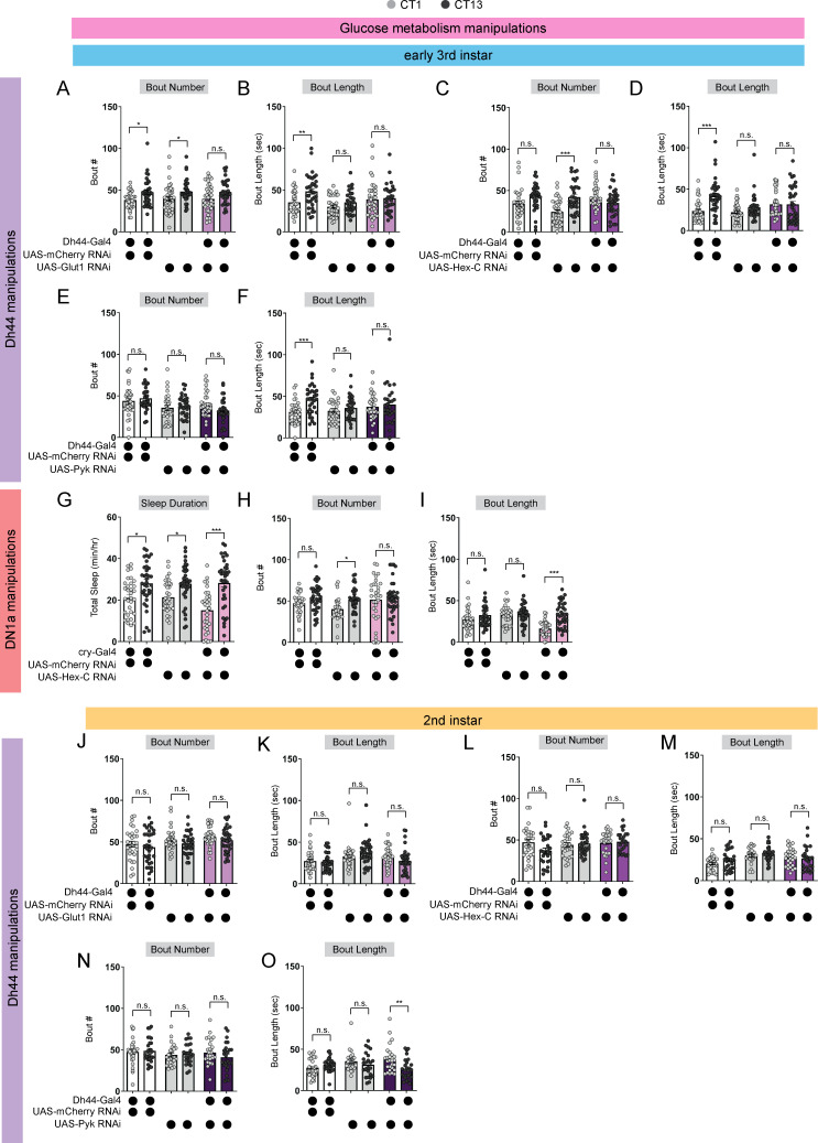 Figure 5—figure supplement 1.