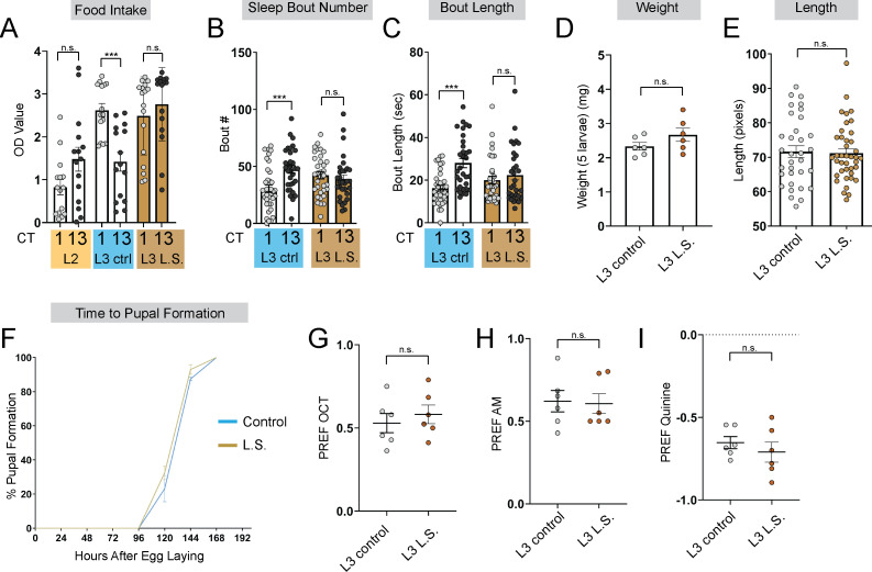 Figure 1—figure supplement 1.