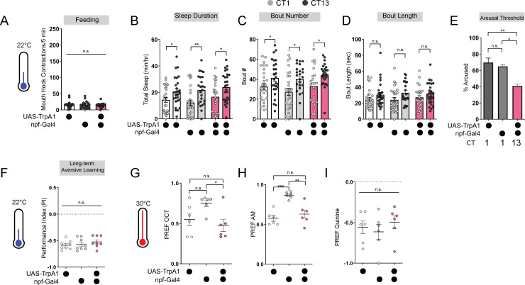 Figure 2—figure supplement 1.