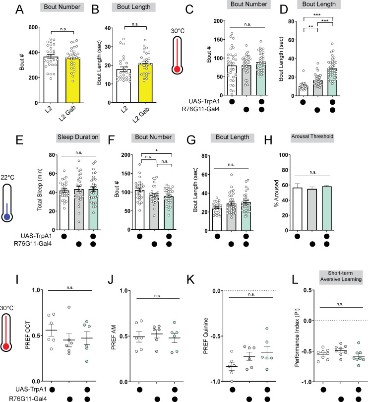 Figure 3—figure supplement 1.