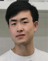 graphic file with name ADMA-37-2416966-g008.gif