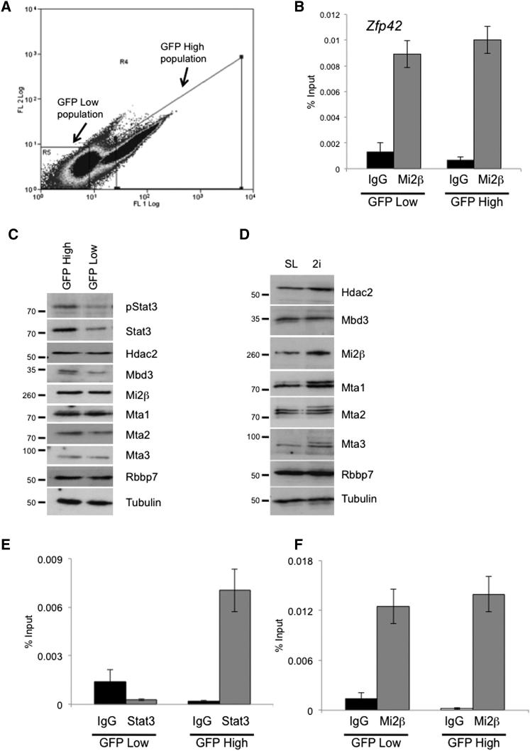 Figure 6