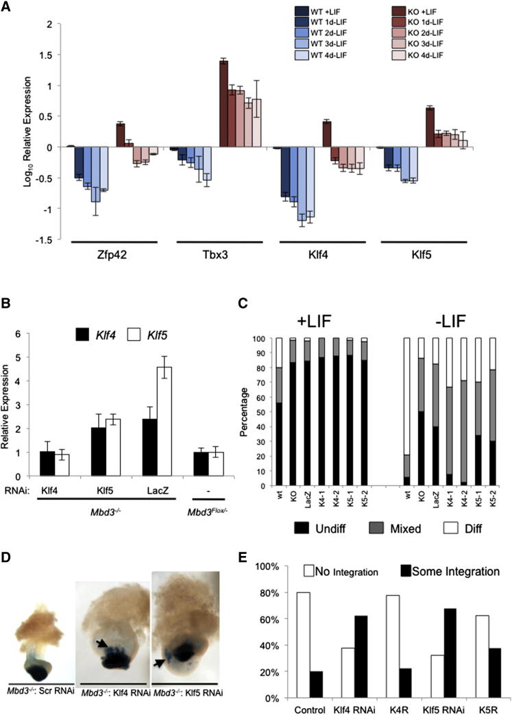 Figure 3