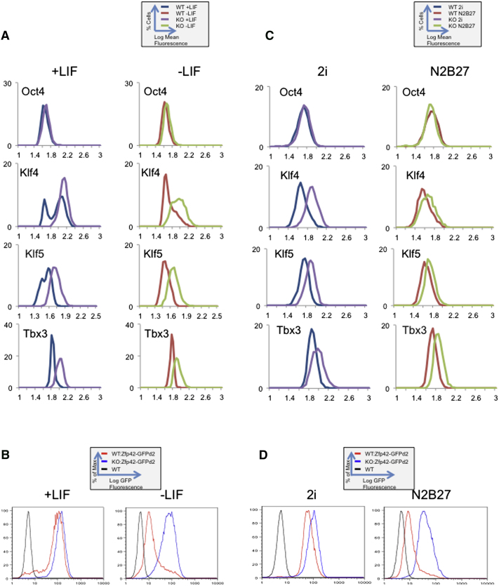 Figure 4