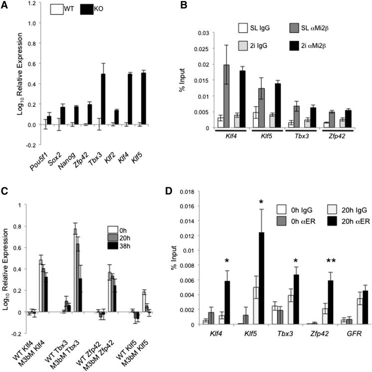 Figure 2