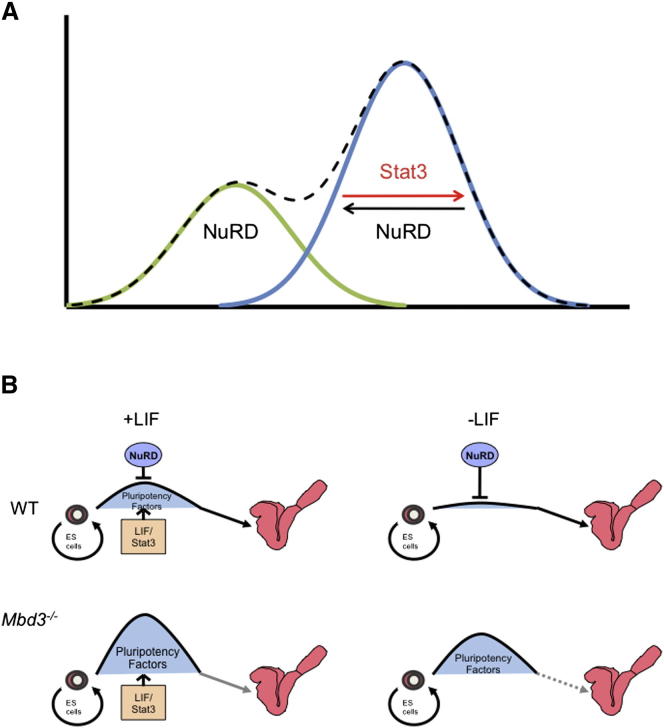 Figure 7