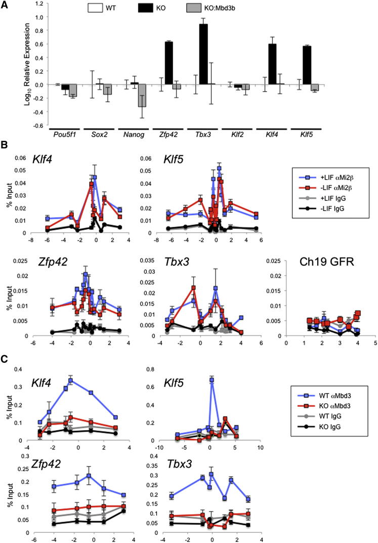 Figure 1