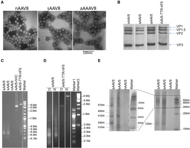 Figure 3