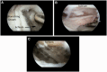 Fig. 9.