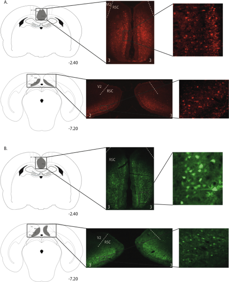 Figure 5.