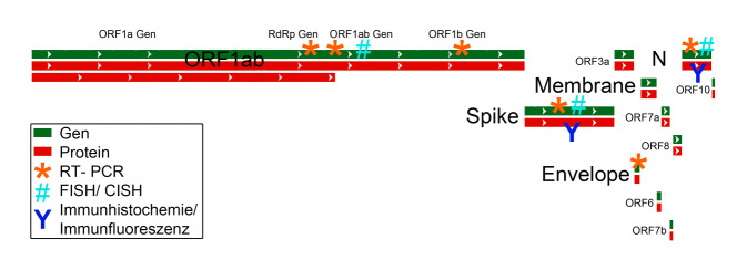 graphic file with name 292_2021_919_Fig1_HTML.jpg