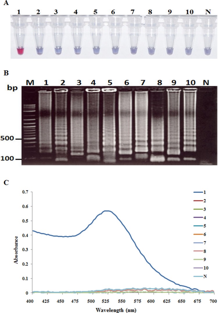 Fig 7