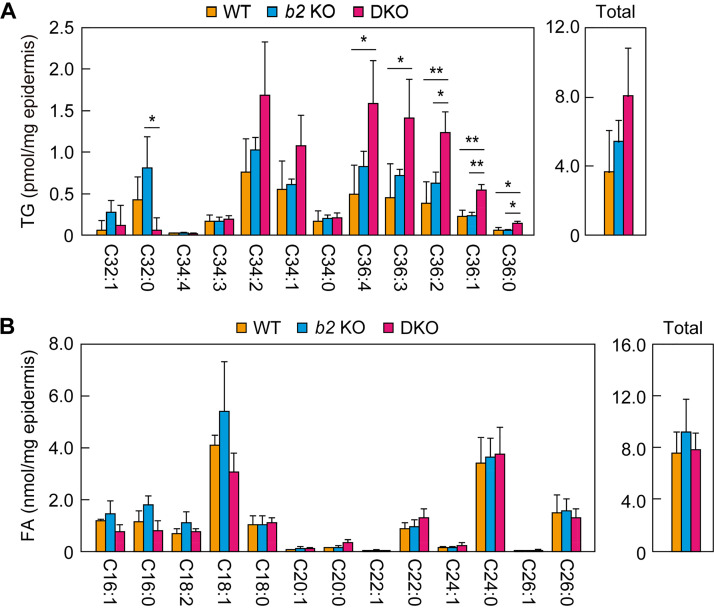 FIG 6