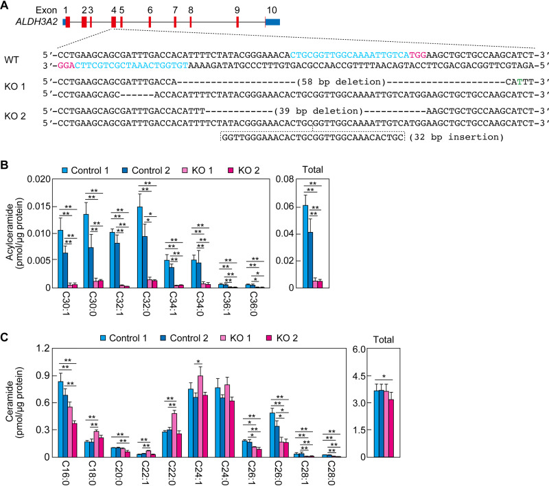 FIG 10