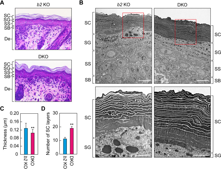 FIG 3