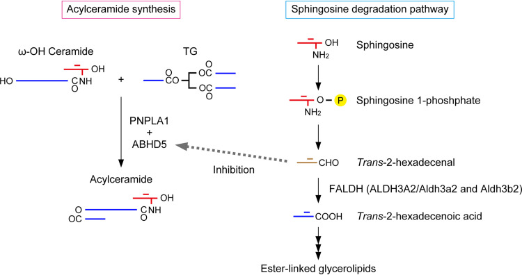 FIG 11