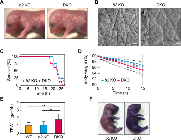 FIG 2