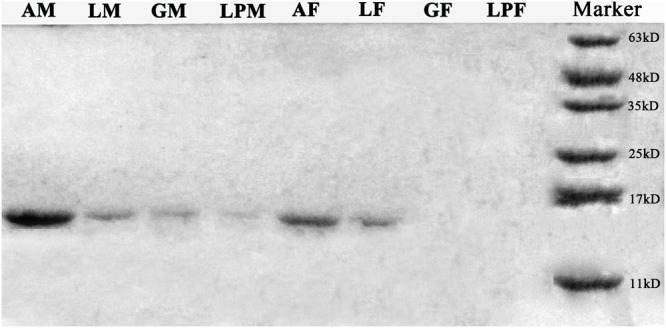 FIGURE 3