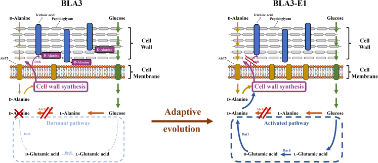 Figure 6