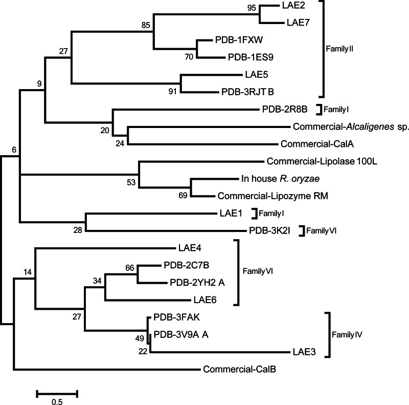 Fig 5