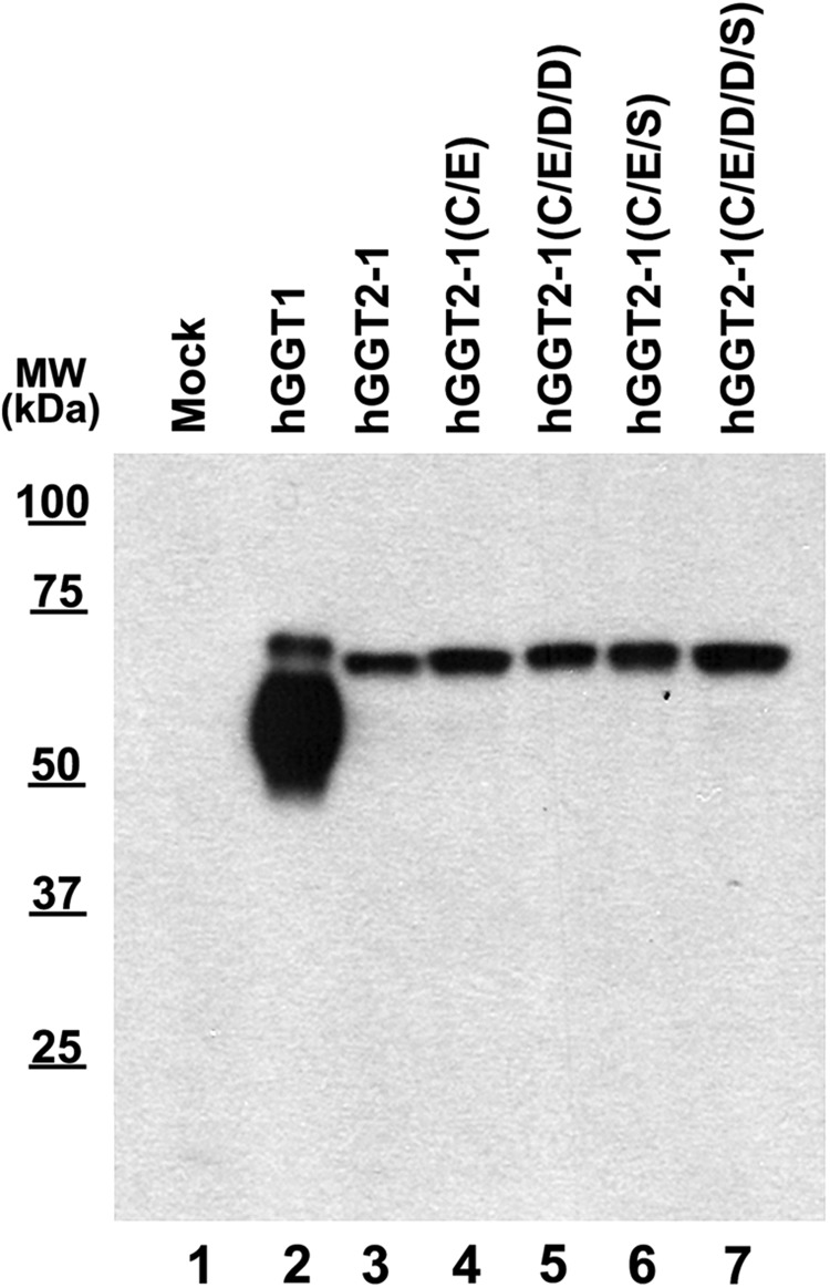 FIG. 7.