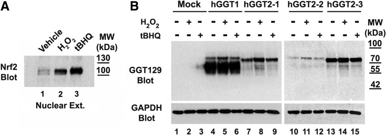 FIG. 5.