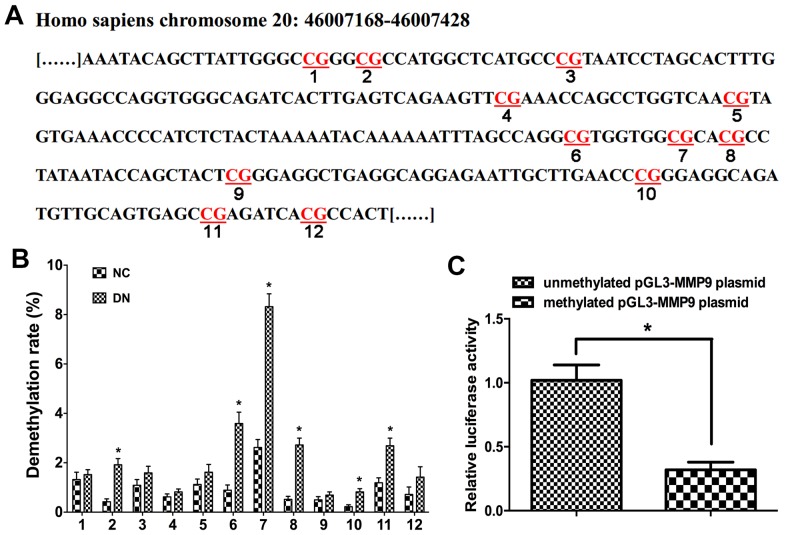 Figure 3.