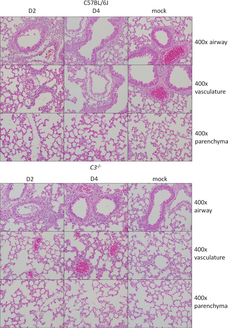 FIG 3