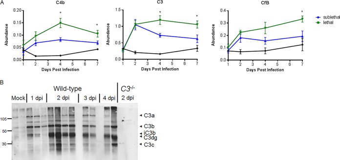 FIG 1