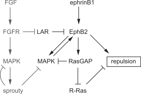 Figure 9.