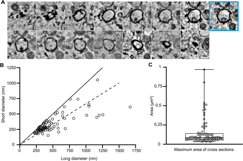 Fig. 2