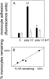 Figure 9.