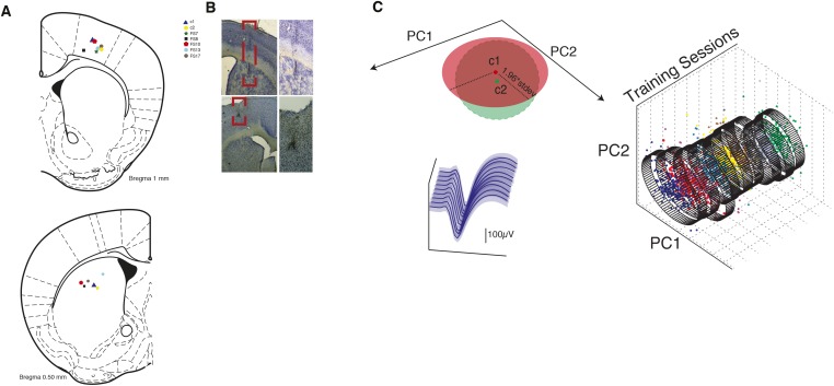 Figure 4—figure supplement 1.