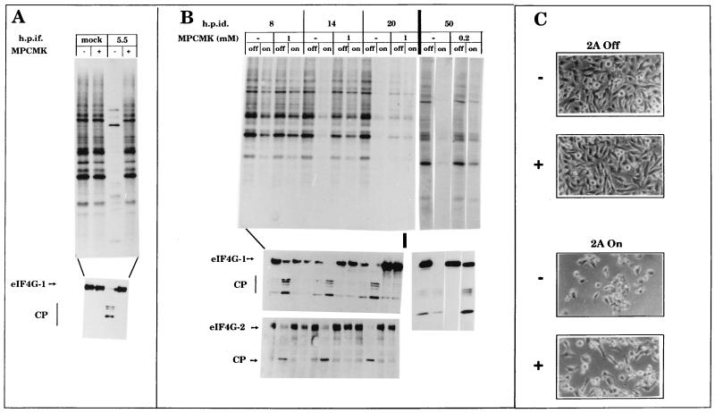 FIG. 3