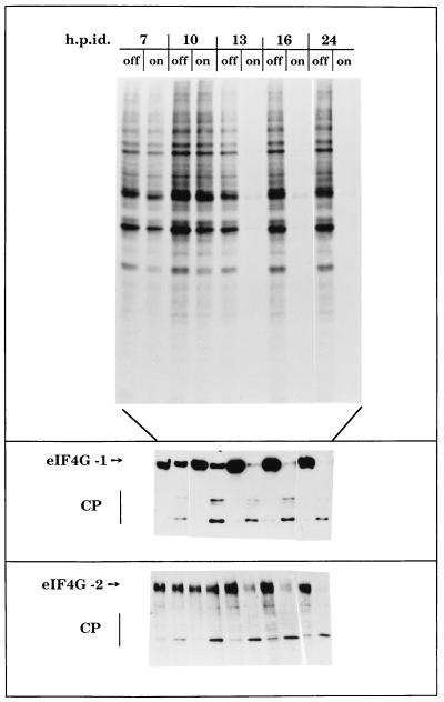 FIG. 2