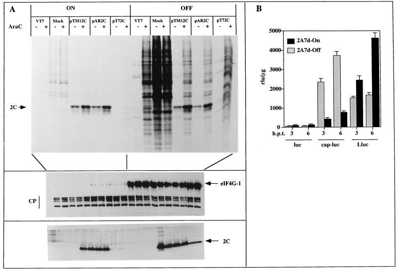 FIG. 6